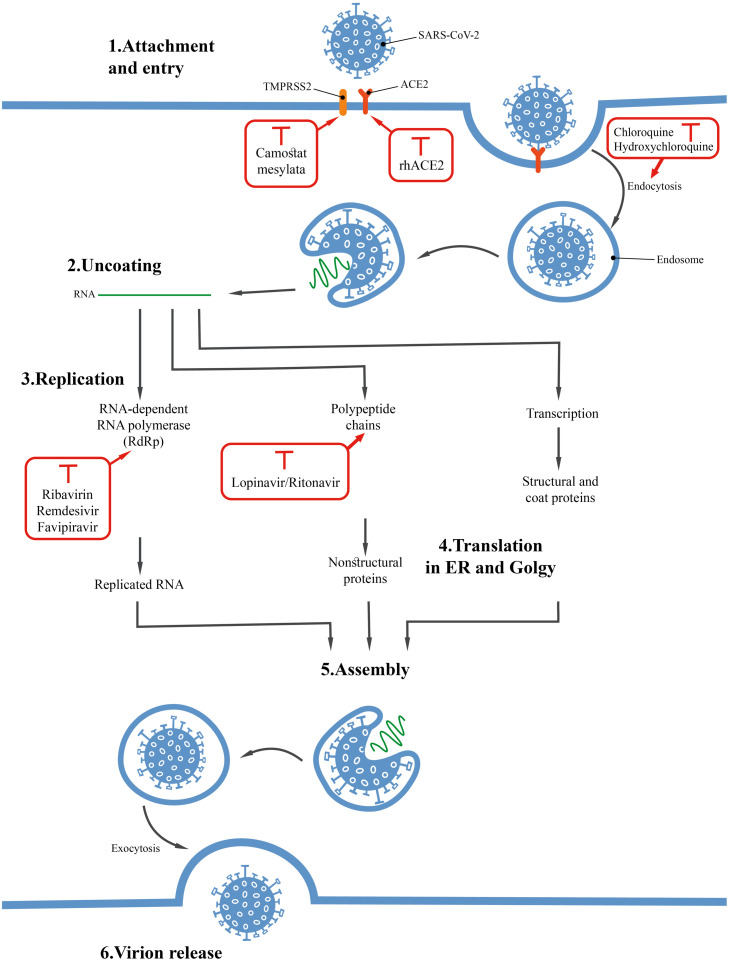 Fig. 4