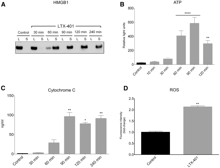 Figure 4