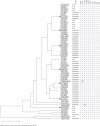 Fig 3