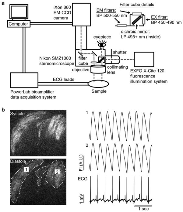 Fig. 3