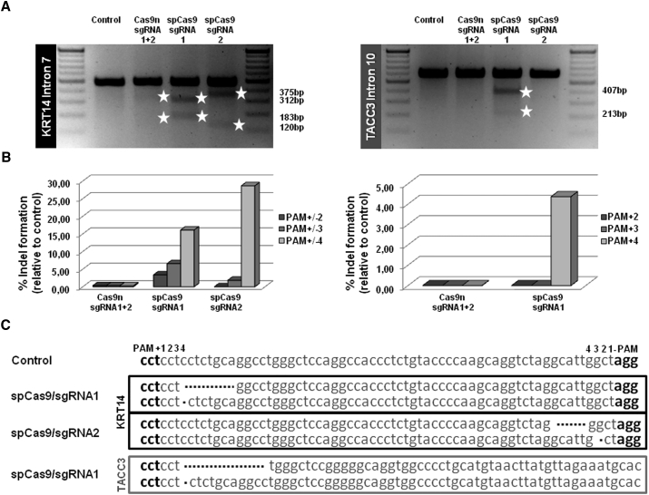 Figure 2