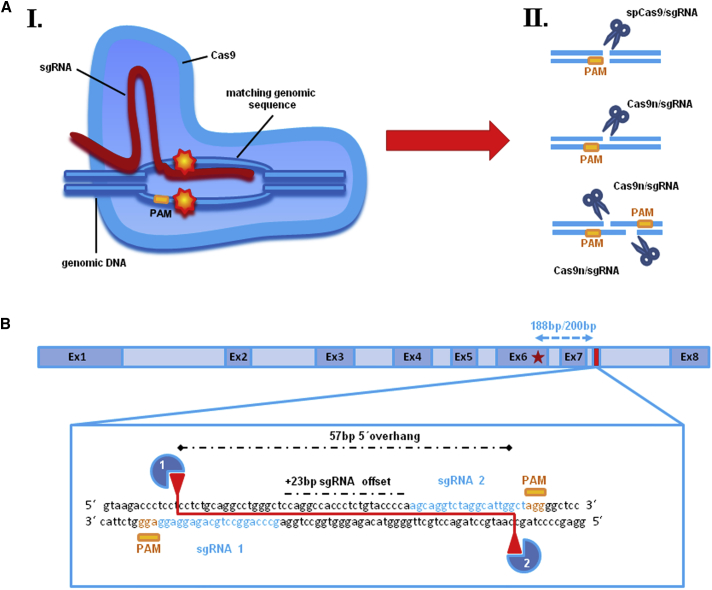 Figure 1