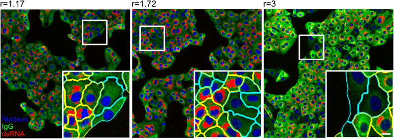 FIGURE 3