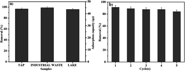 Fig. 10