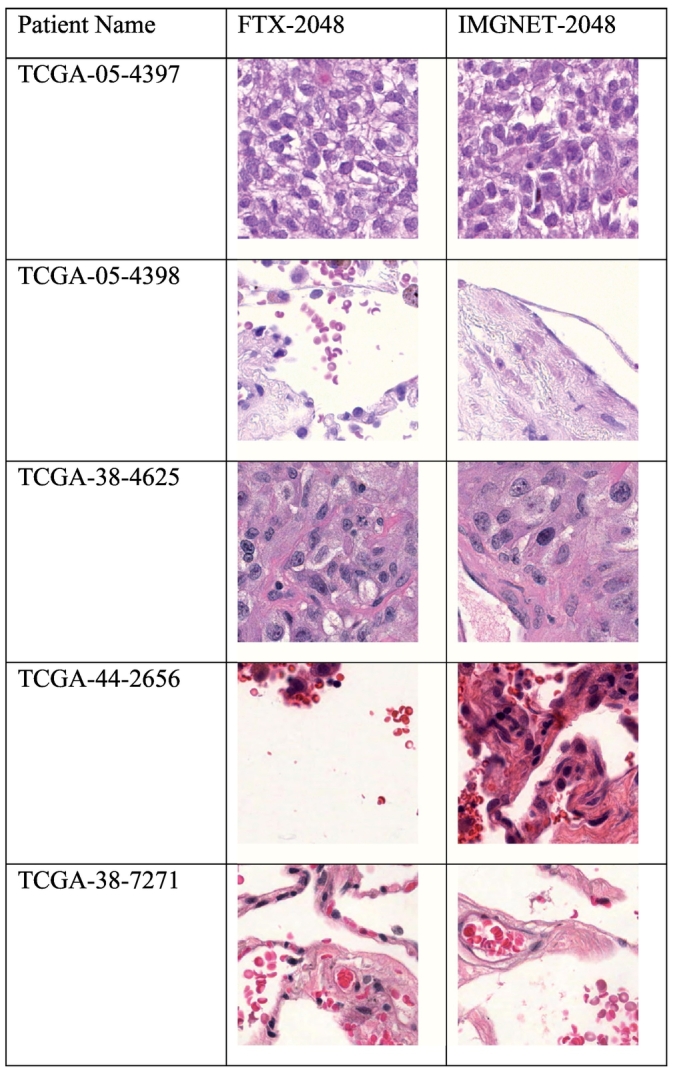 Fig. 7