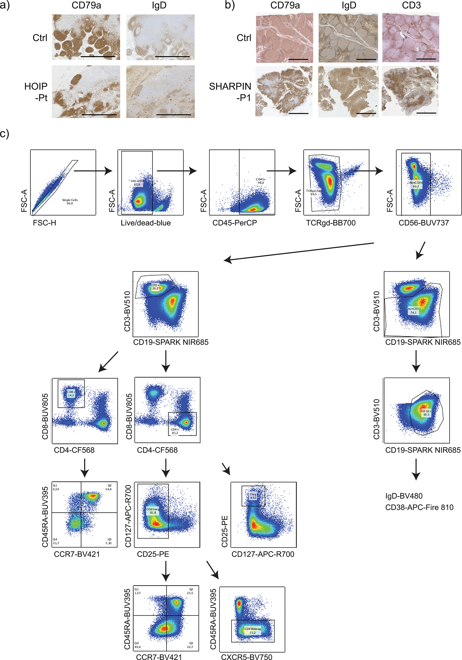 Extended Data Figure 6: