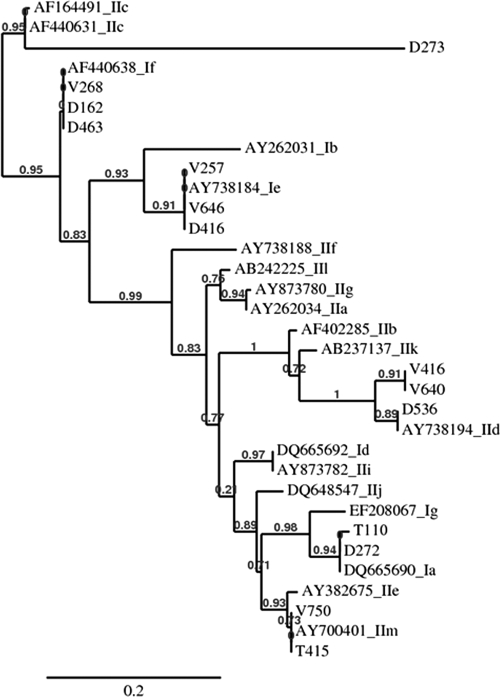 FIG. 2.