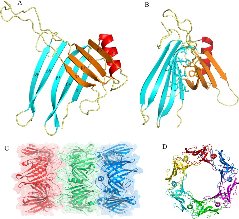 Fig 2