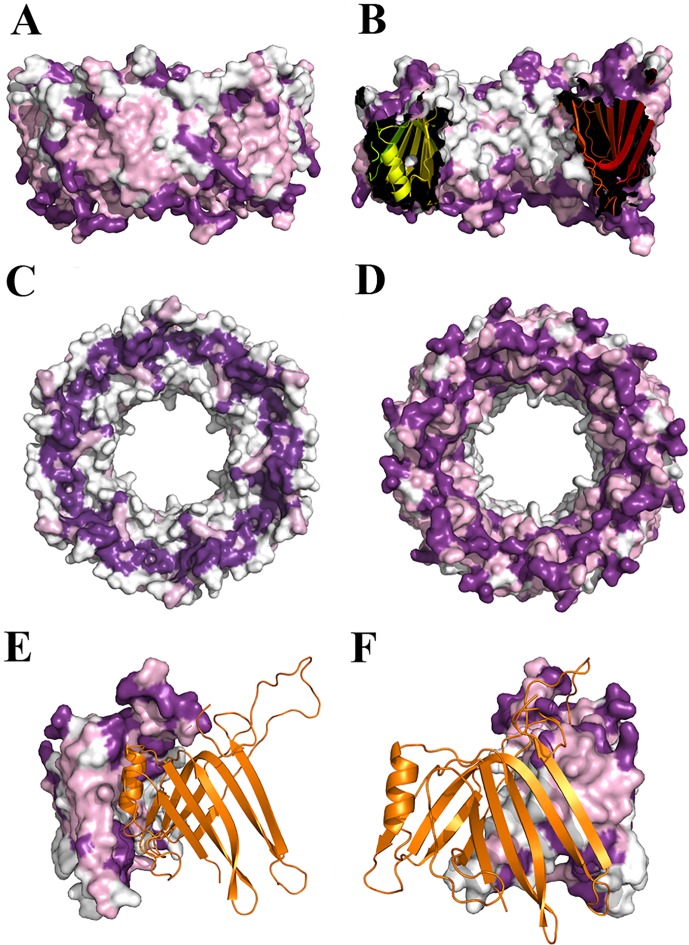 Fig 4