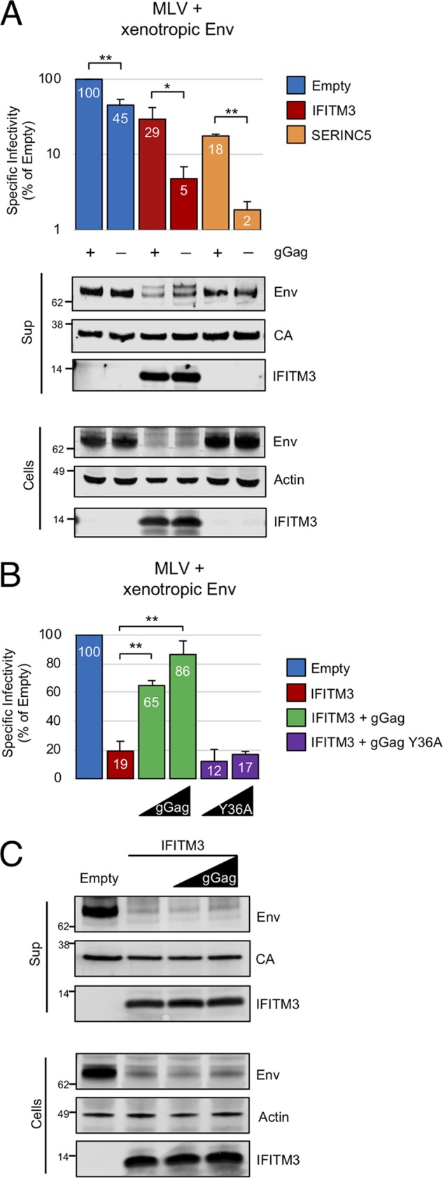 FIG 6