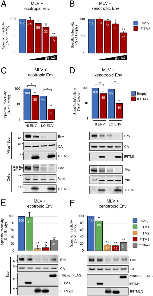 FIG 1