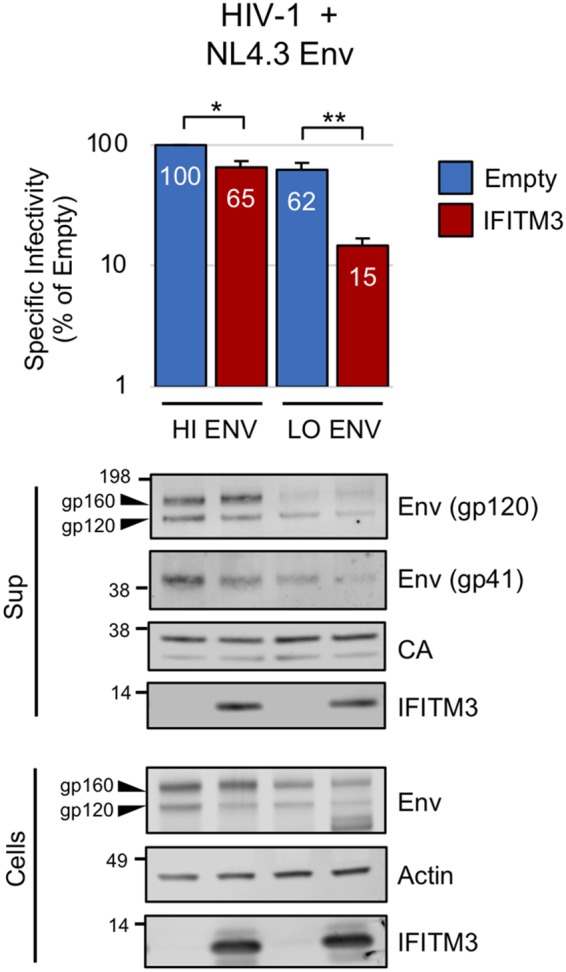 FIG 2