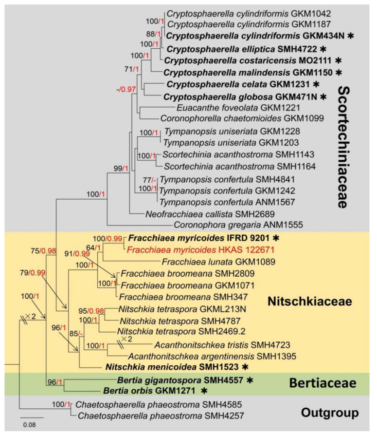 Figure 11