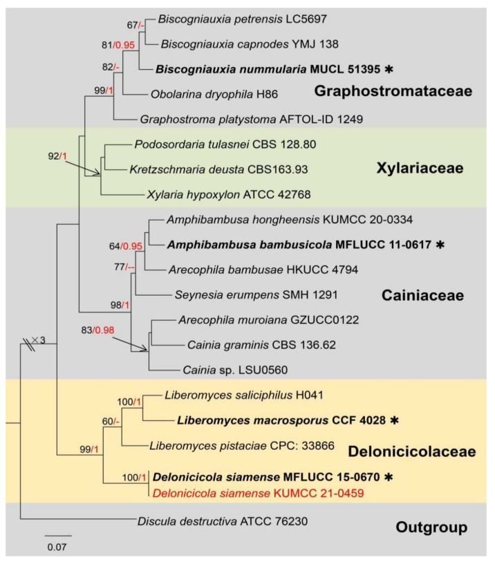 Figure 9