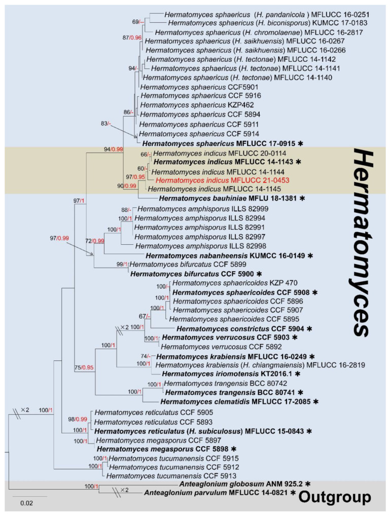 Figure 15