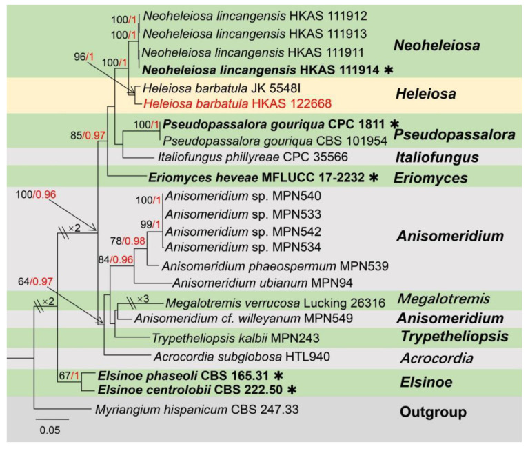 Figure 13