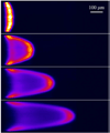 FIG. 1