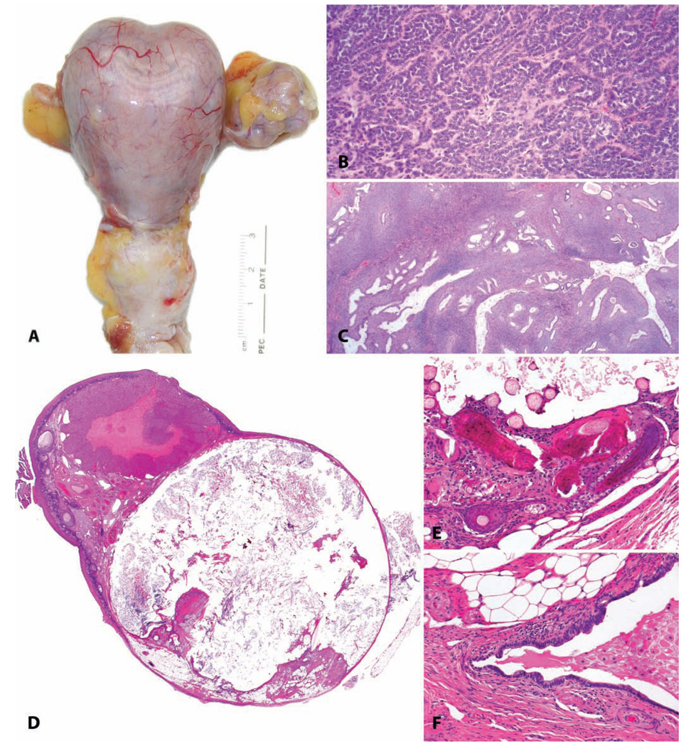 FIGURE 3