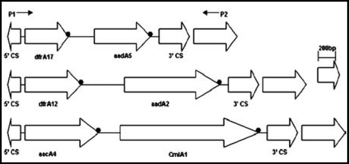 Fig.1