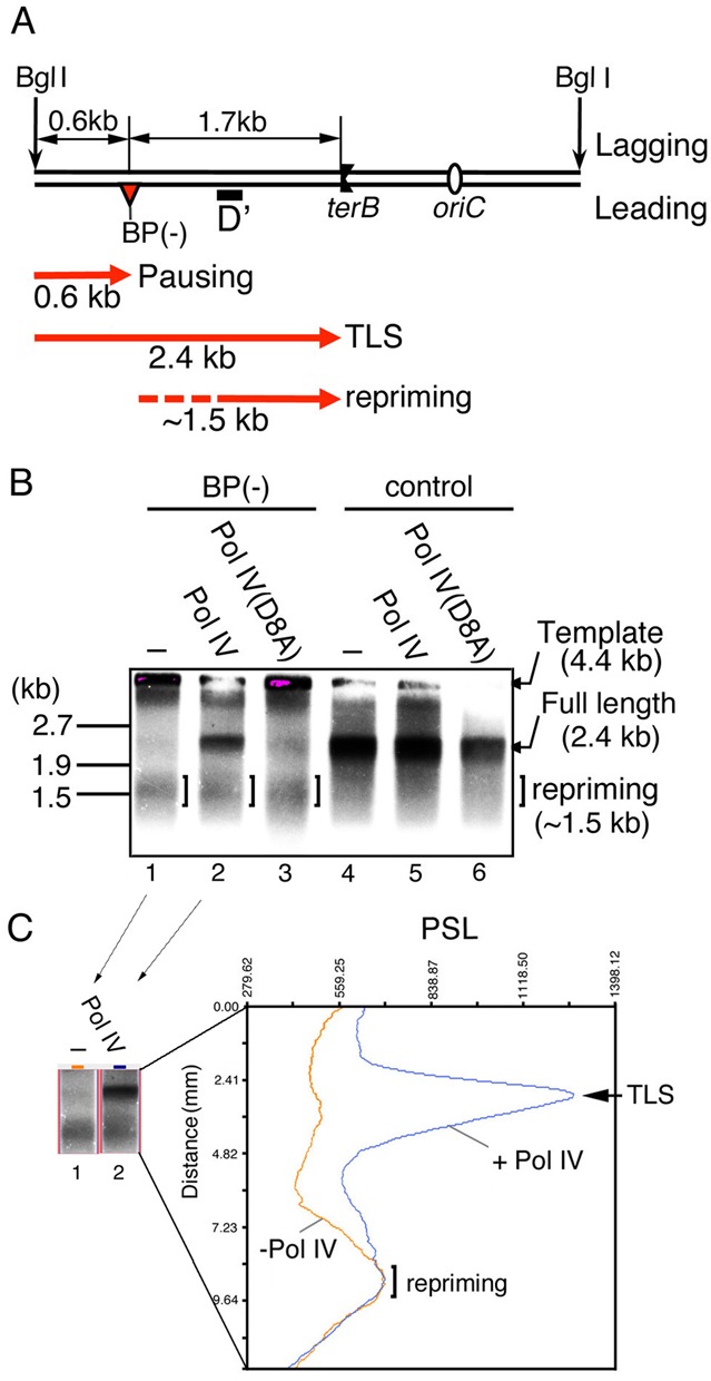 Figure 5.