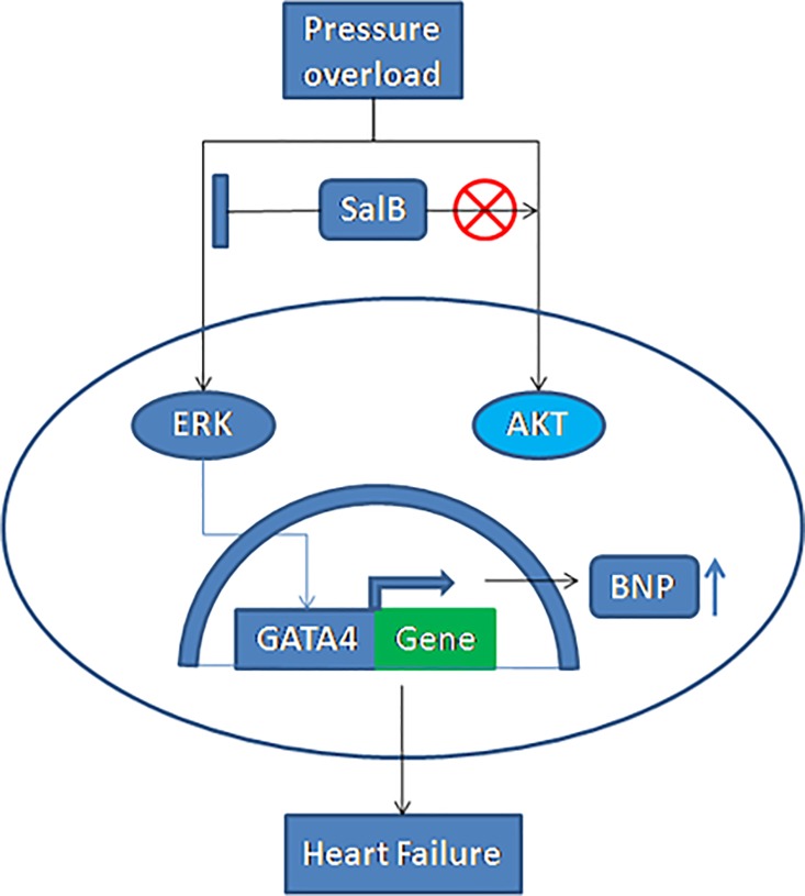 Fig 8