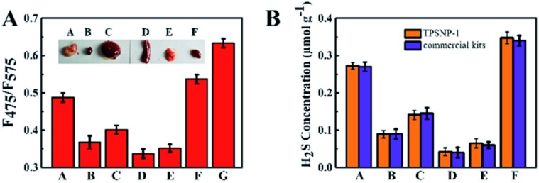 Fig. 6