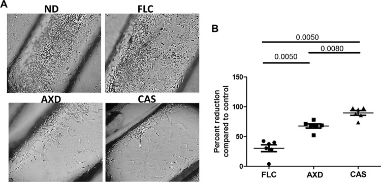 FIG 3