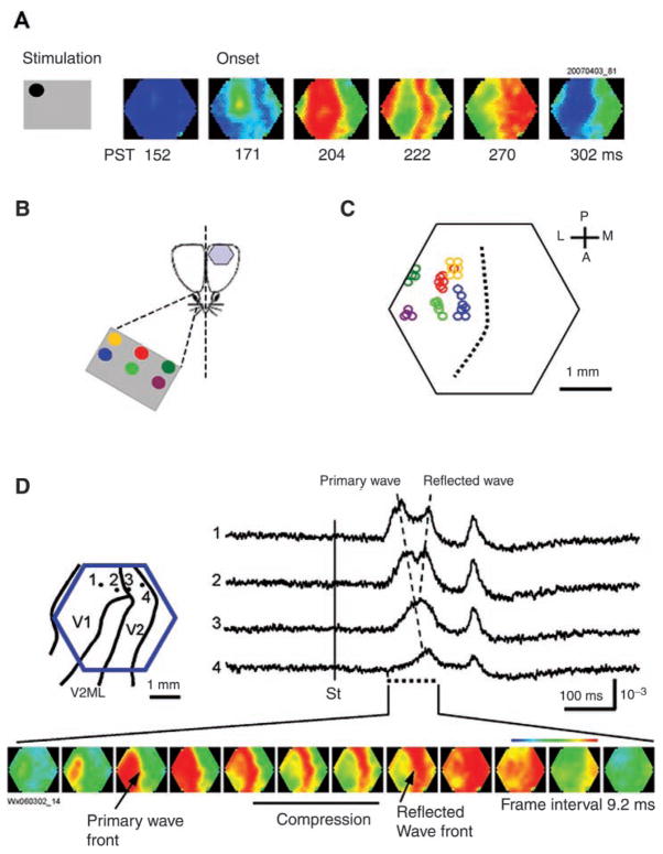 Fig. 6