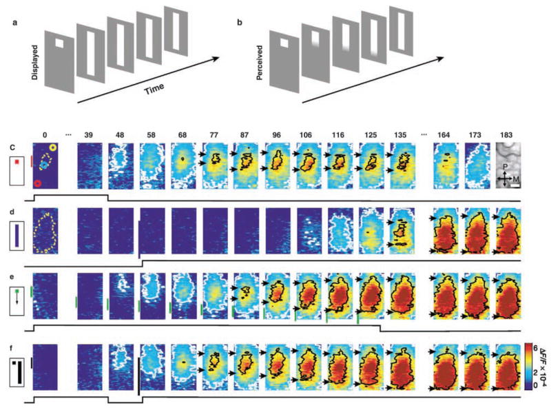 Fig. 7