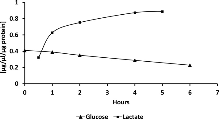 Fig. 8