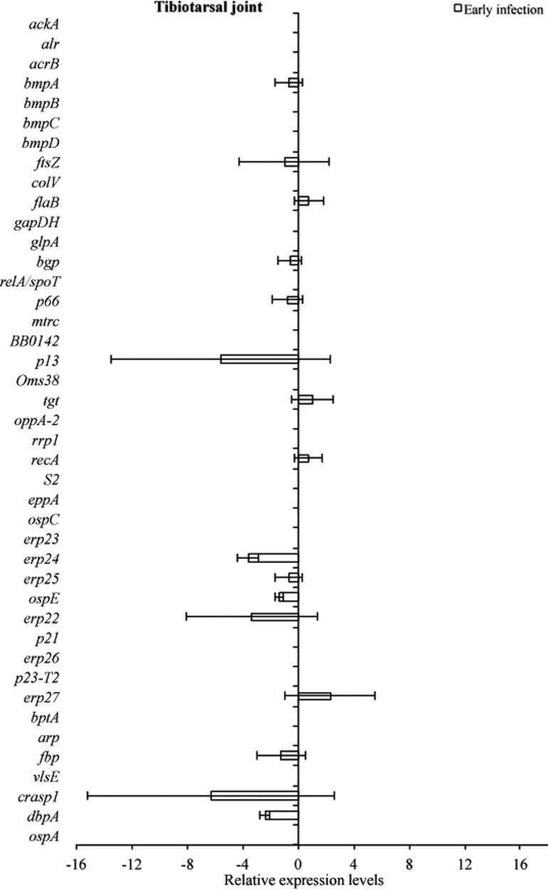 FIG. 5.