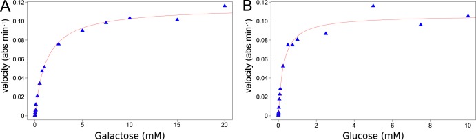 FIG 6