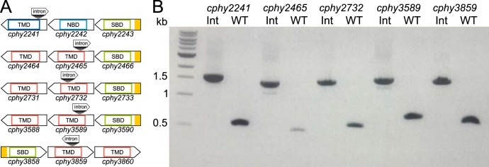 FIG 2