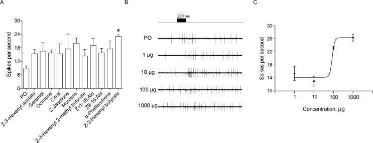 Figure 5.