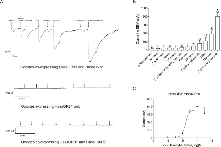 Figure 3.