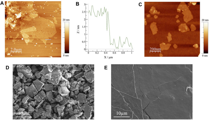 FIGURE 2