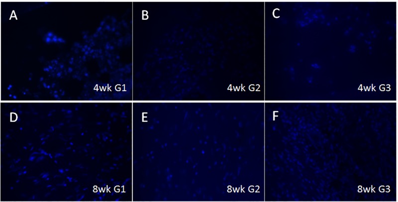 graphic file with name Appendix_Figure_1_Negative_Control_Figure_110316.jpg