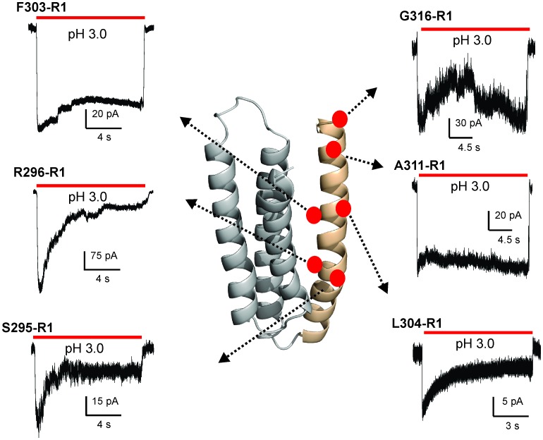 Figure 5—figure supplement 2.