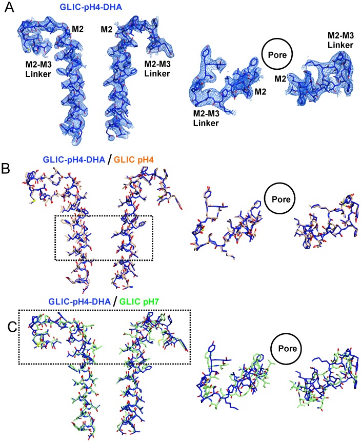 Figure 4—figure supplement 2.