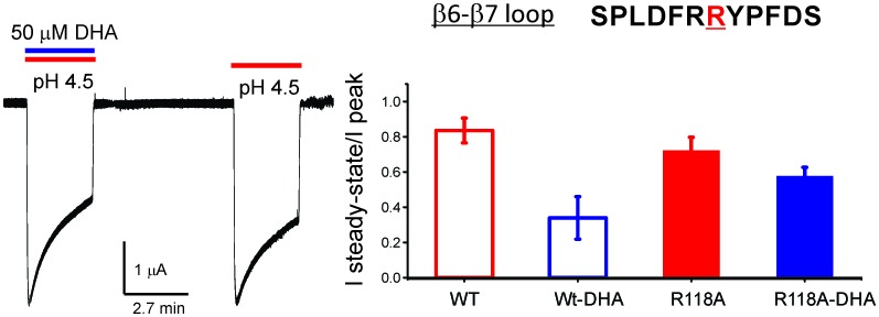 Figure 3—figure supplement 3.