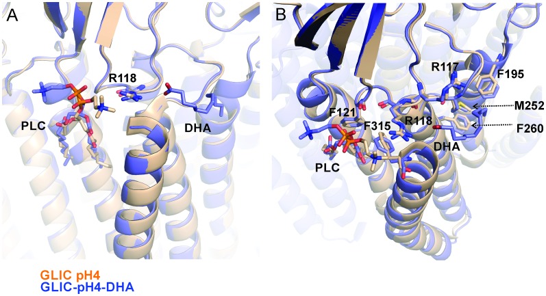 Figure 3—figure supplement 2.