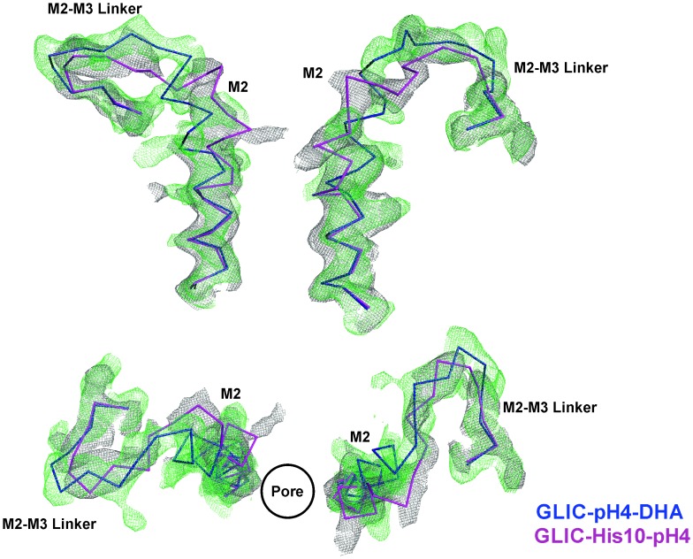 Figure 4—figure supplement 3.