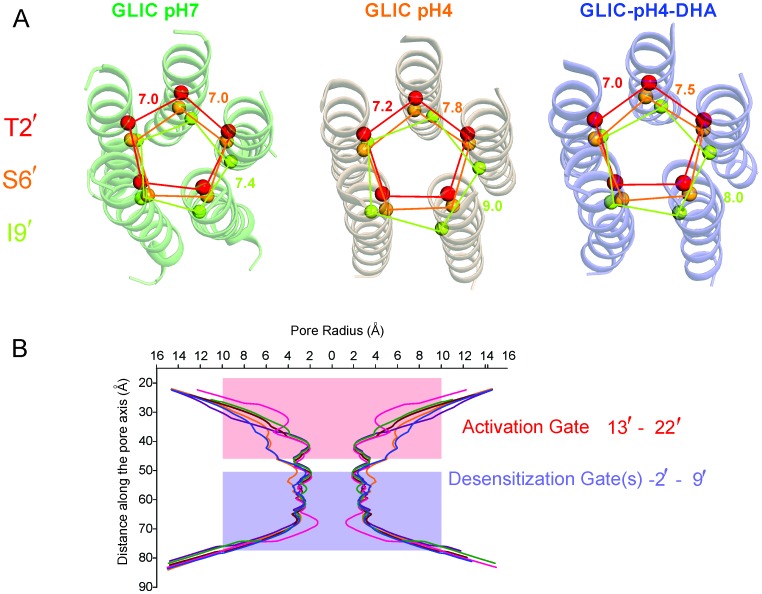 Figure 4—figure supplement 4.