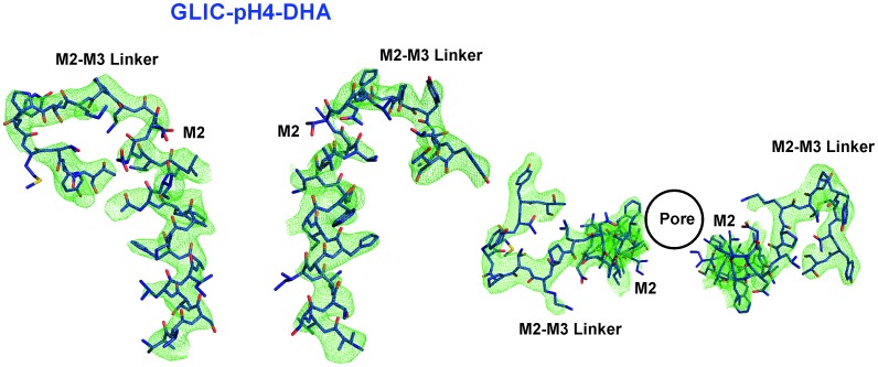 Figure 4—figure supplement 1.