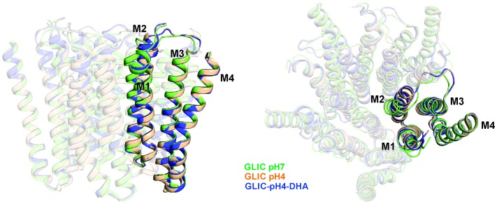 Figure 5—figure supplement 1.