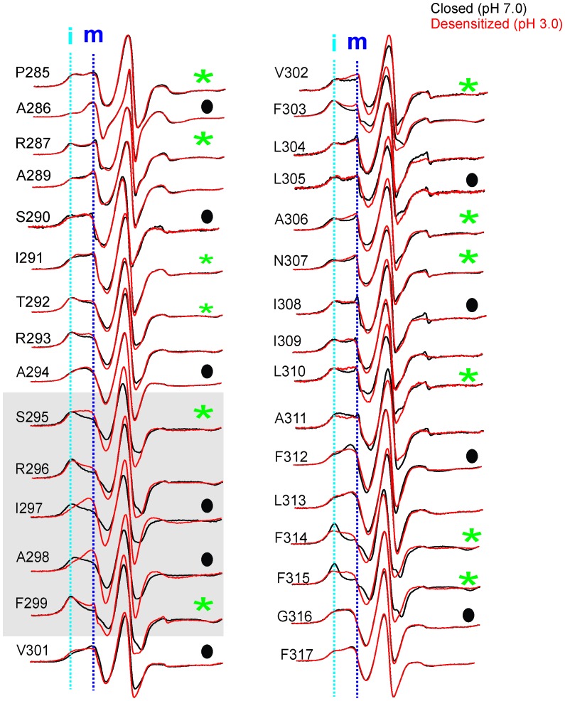 Figure 5—figure supplement 3.