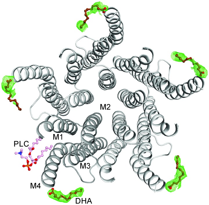 Figure 3—figure supplement 1.