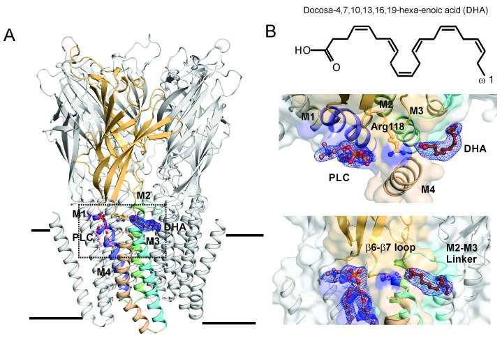 Figure 3.