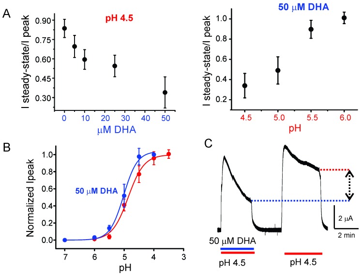 Figure 1—figure supplement 1.