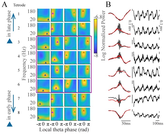 Figure 1—figure supplement 6.